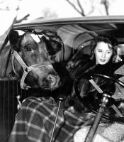 Запомни ночь (1940)