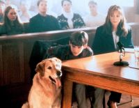 Король воздуха (1997)